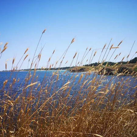 Bavaria בית הארחה סינמורץ