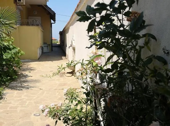 Bavaria 2* Sinemoreț