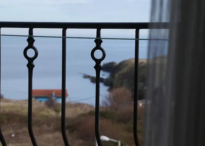 Bavaria Pensiune Sinemoreț