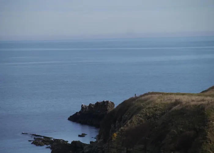 Pensiune Bavaria Sinemoreț